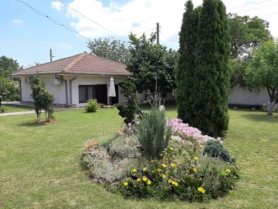 Guesthouse Oasis-沙布拉 外观 照片